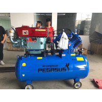 Máy nén khí chạy dầu diesel Pegasus TM-W-1.0/8-500L 10hp