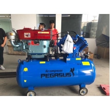Máy nén khí chạy dầu diesel Pegasus TM-W-1.0/8-500L 10hp Máy nén khí chạy dầu diesel Pegasus TM-W-1.0/8-500L 10hp
