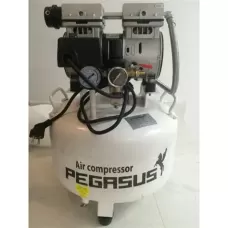 Máy nén khí không dầu Pegasus TM-OF750-40L