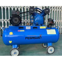 Máy nén khí Pegasus TM-V -0.25/8-70L Máy nén khí Pegasus TM-V -0.25/8-70L