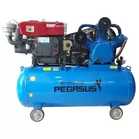 Máy nén khí Pegasus TM-V -1.05/12.5-500L Máy nén khí Pegasus TM-V -1.05/12.5-500L