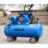 Máy nén khí Pegasus TM-V-0.25/12.5 - 120 lít Máy nén khí Pegasus TM-V-0.25/12.5 - 120 lít