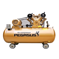 Máy nén khí Pegasus TM-V-0.25/8-180L Máy nén khí Pegasus TM-V-0.25/8-180L