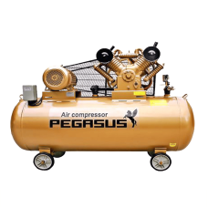 Máy nén khí Pegasus TM-V-0.25/8-180L Máy nén khí Pegasus TM-V-0.25/8-180L