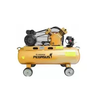 Máy nén khí Pegasus TM-W-0.36/12.5 - 120L Máy nén khí Pegasus TM-W-0.36/12.5 - 120L