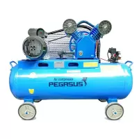 Máy nén khí dây đai pegasus TM-V-0.17/8-70L Máy nén khí dây đai pegasus TM-V-0.17/8-70L